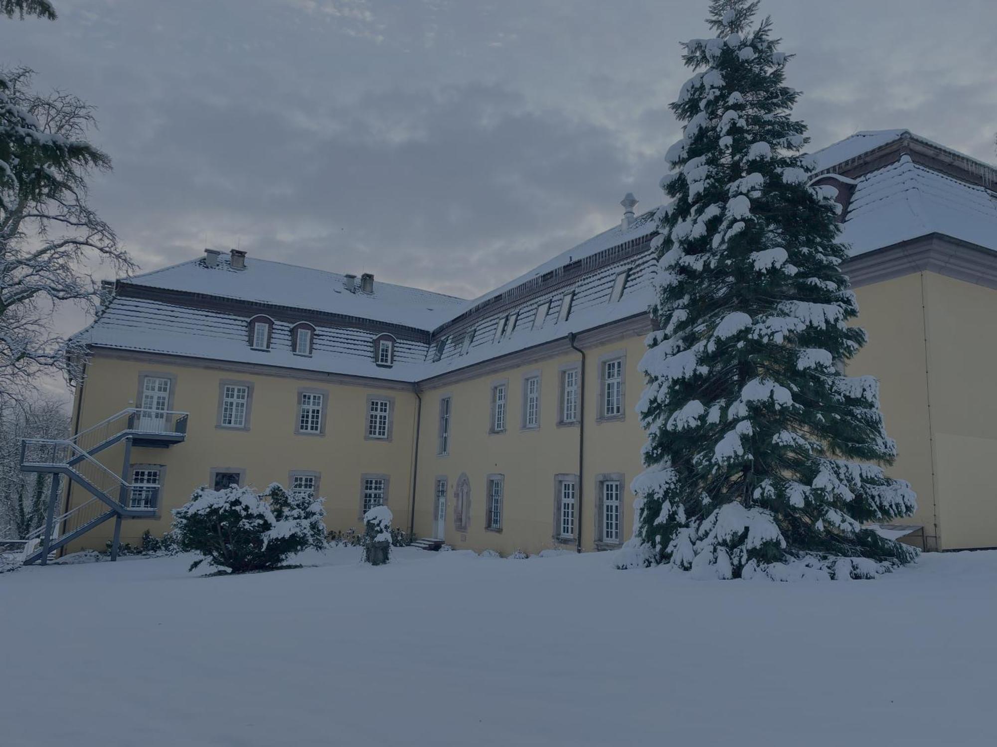 Hotel Schloss Hoehnscheid バート・アロルゼン エクステリア 写真
